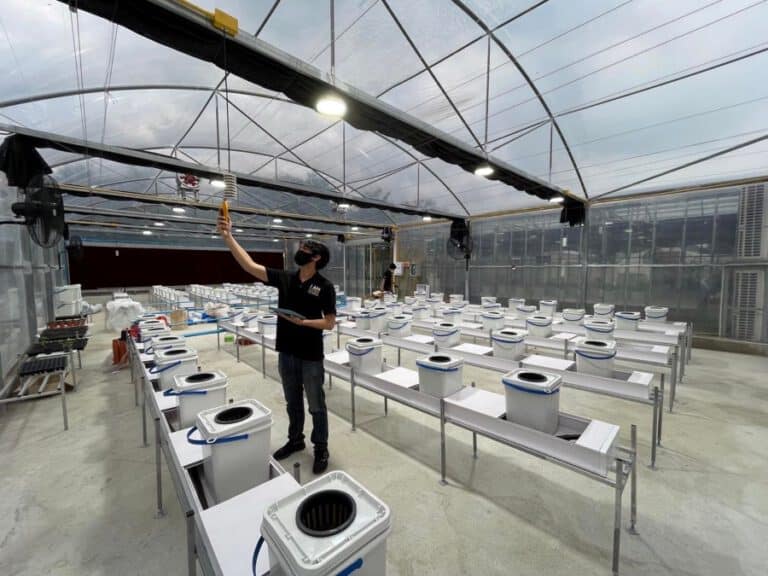 เจาะลึกเรื่องโรงเรือนปลูกผัก มีกี่รูปแบบ เหมาะกับการปลูกผักชนิดไหนบ้าง