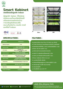 kabinet อัฟแล้ว