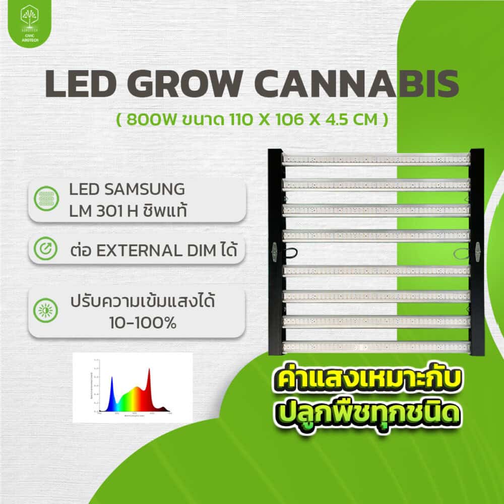 Led grow cannabis 0