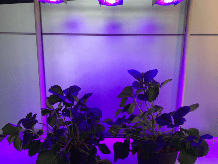 หลอดไฟปรับสเปกตรัมได้ Bar 60w