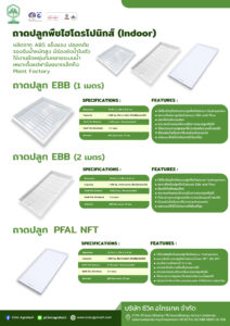 ถาดปลูก อัฟแล้ว