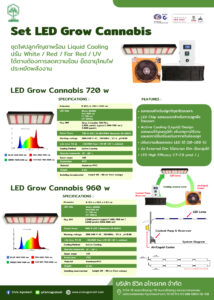 cooling ในเว็บไม่มี