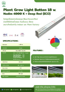 eco อัฟแล้ว